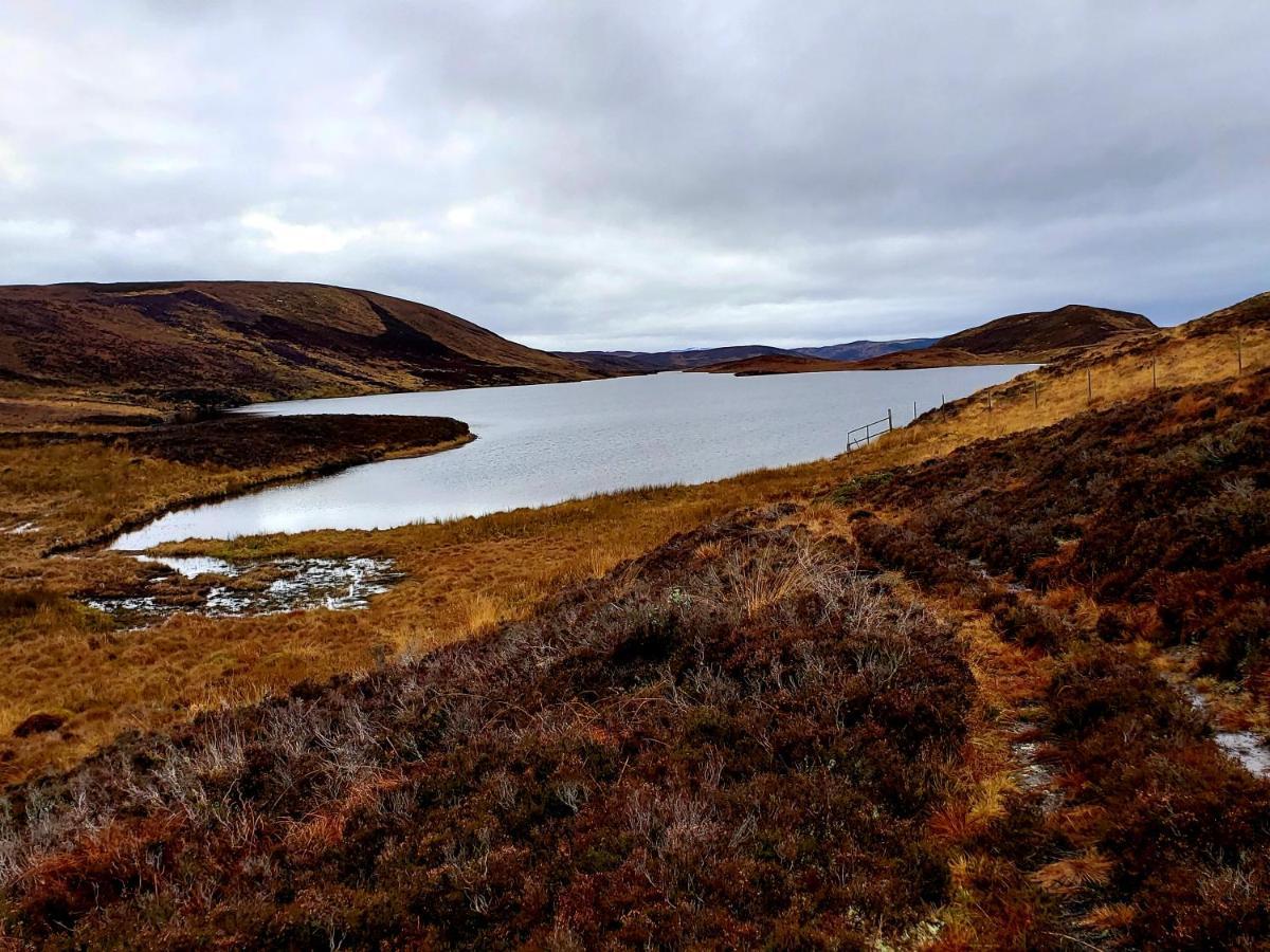 Highland Glen Lodges Rogart Екстериор снимка