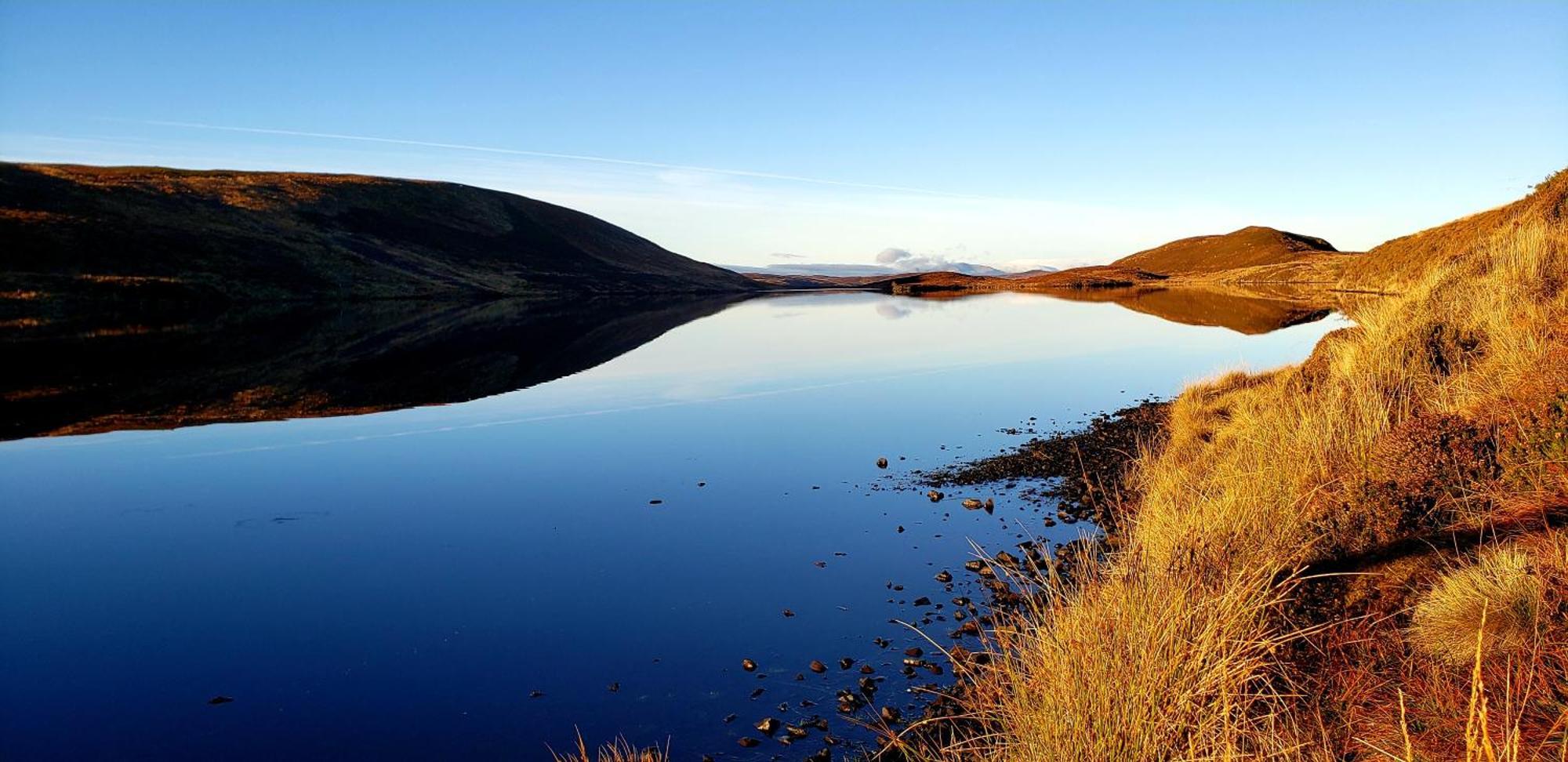 Highland Glen Lodges Rogart Екстериор снимка