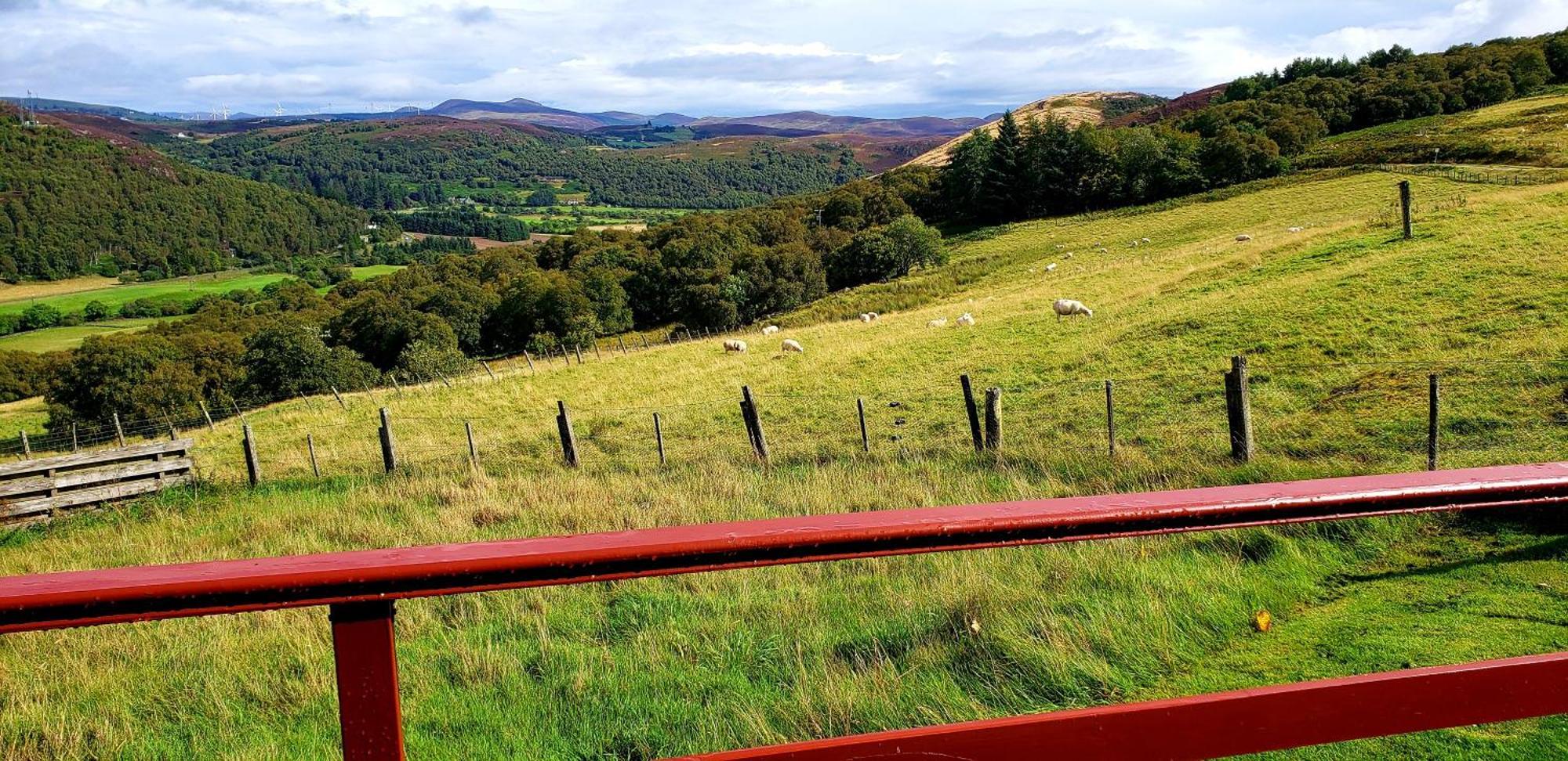 Highland Glen Lodges Rogart Екстериор снимка